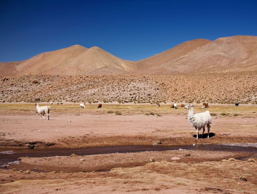 Desierto de Atacama, el desierto más seco del mundo