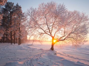 invierno en estados unidos nieve y atardecer