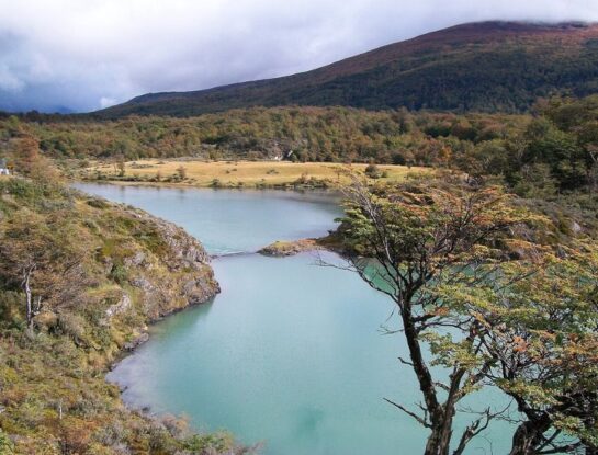 ¿Qué es una reserva natural estricta y cuántas hay en Argentina?
