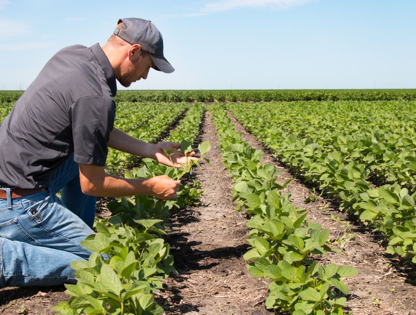 Qué es la agricultura y qué tipos existen