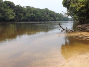 segundo-bosque-tropical-mas-grande-del-mundo