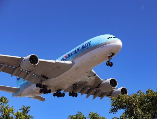 ¿Los aviones tienen bocina?