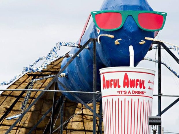 Insecto artificial más grande del mundo archivos - Billiken