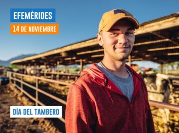 14 de noviembre