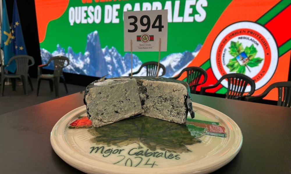 Aspecto del queso más caro del mundo. 