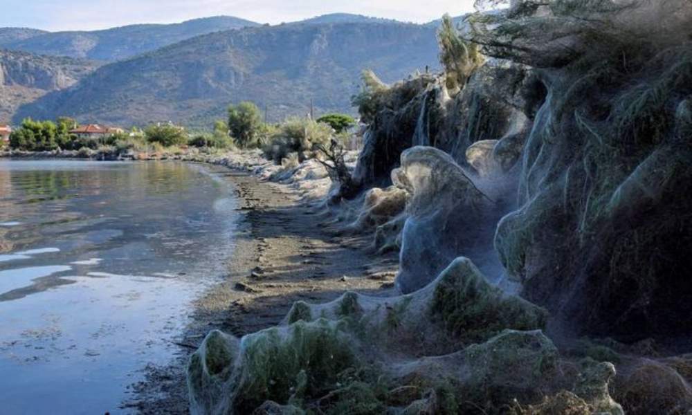 Aitoliko, pueblo griego cubierto de telarañas