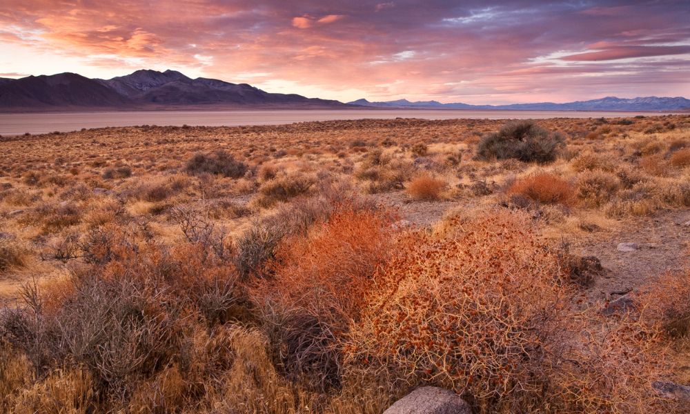 Paisajes de desierto más grande de Estados Unidos.