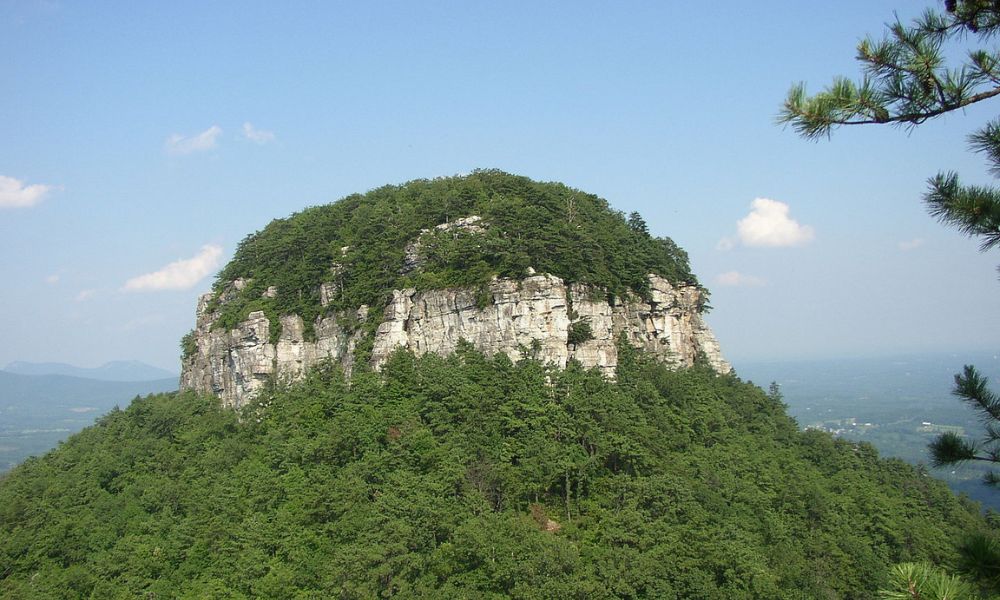 Un inselberg repleto de plantas.