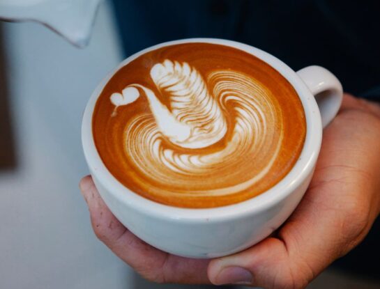 ¿Qué es el café de especialidad?
