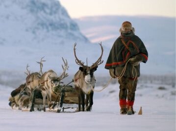 pueblo originario sami hombre con reno