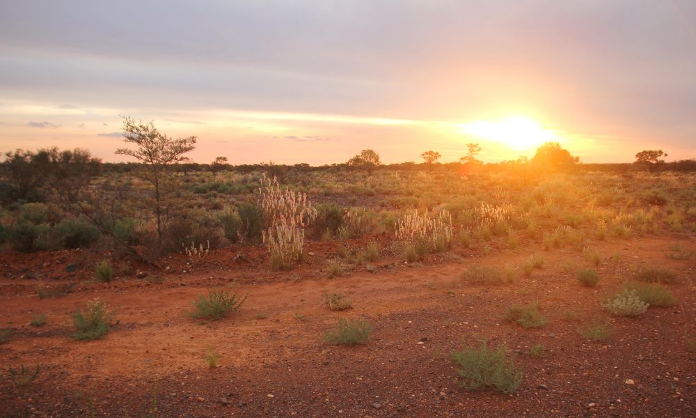 desierto de australia