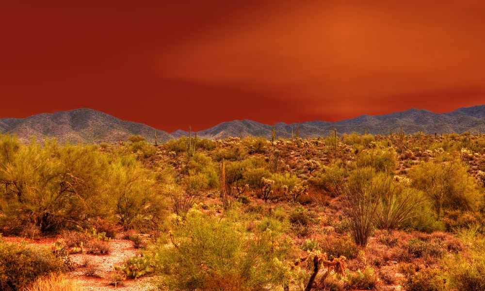 desierto de sonora. lugares más calurosos del planeta