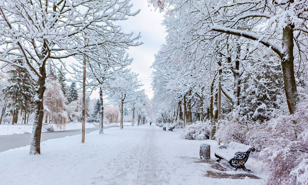 Japón, el país donde más nieva