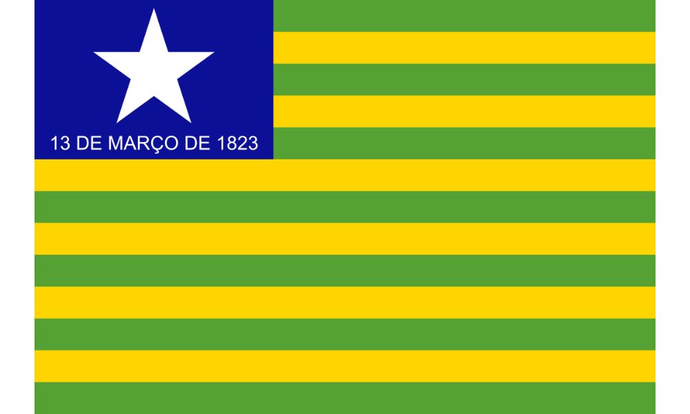 Bandera de Piauí.