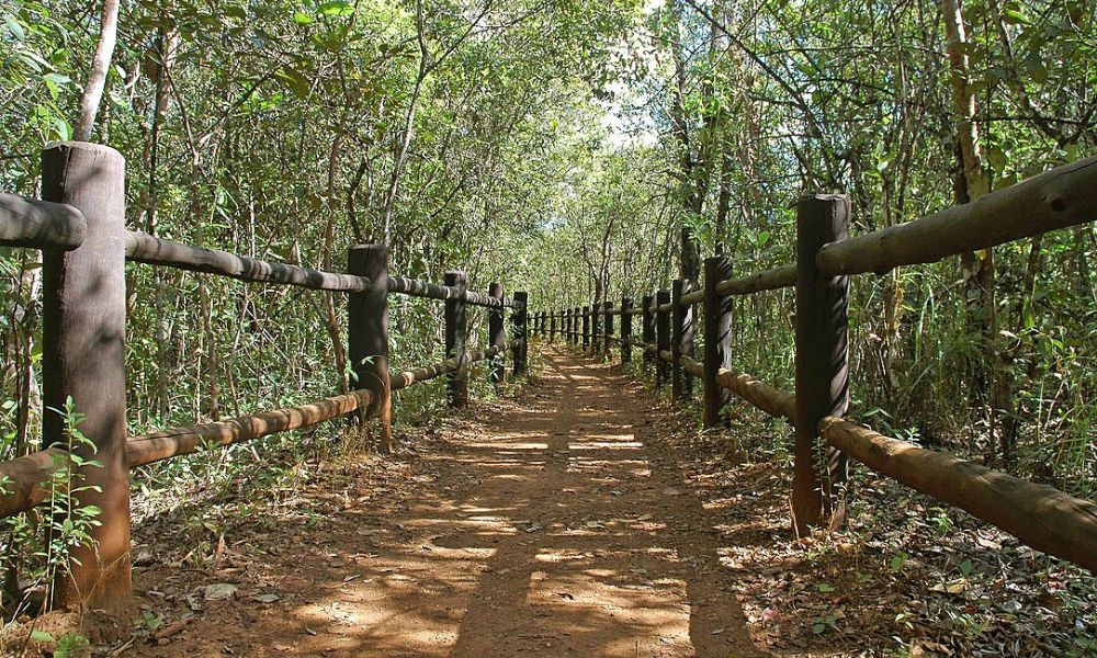 Sendero en el parque nacional urbano más grande del mundo.