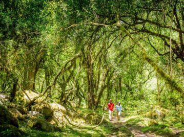 parque nacional baritú