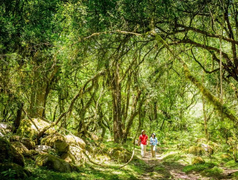 parque nacional baritú