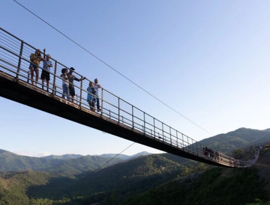 ¿Cuánto mide el puente colgante peatonal más largo de Estados Unidos?