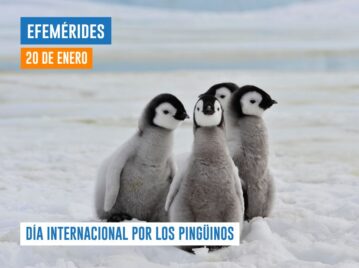 Efemérides del 20 de enero Día por los pingüinos