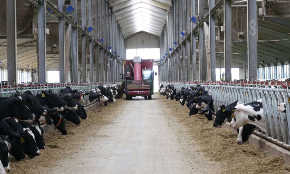 Instalaciones de la granja más grande del mundo.