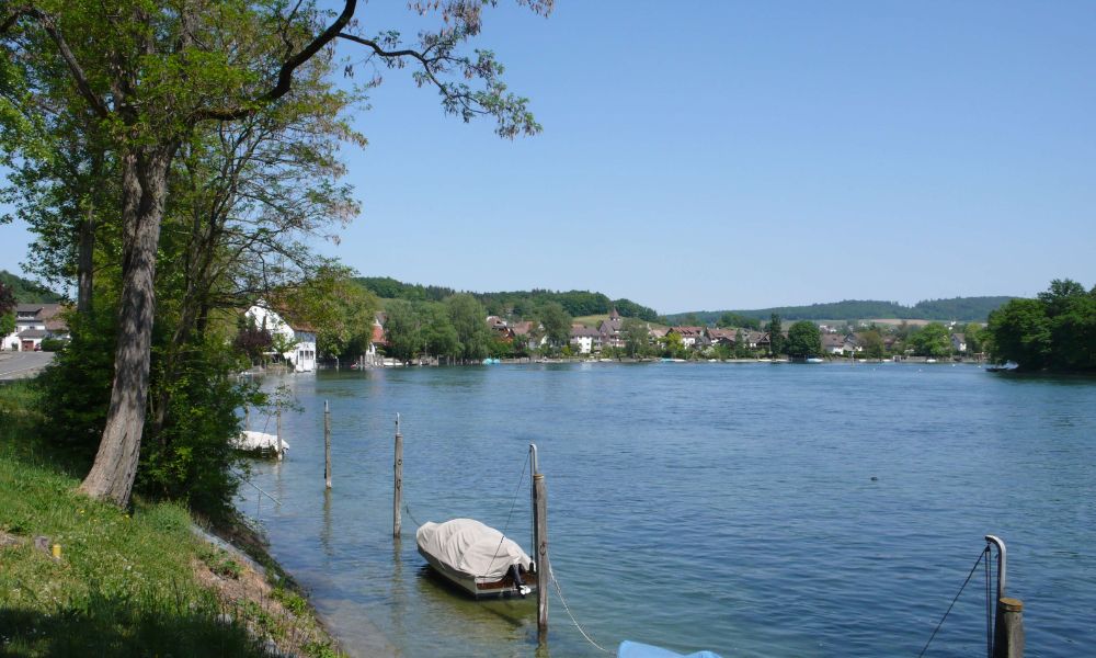 Naturaleza en el pueblo alemán Büsingen am Hochrhein.