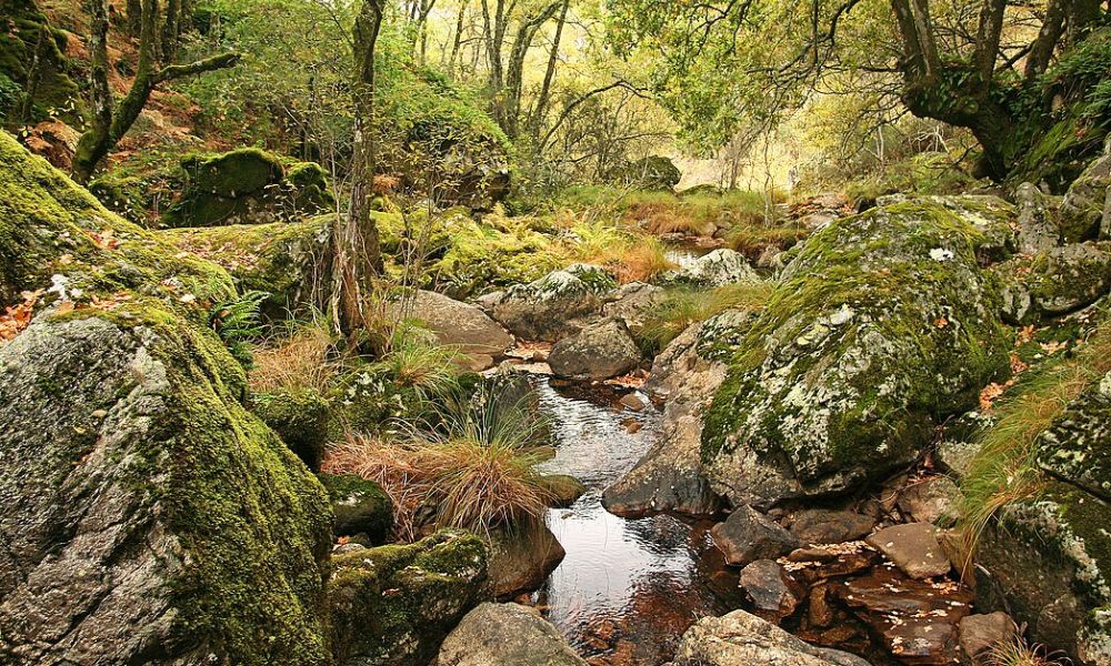 Parque Nacional Peneda-Gerez.