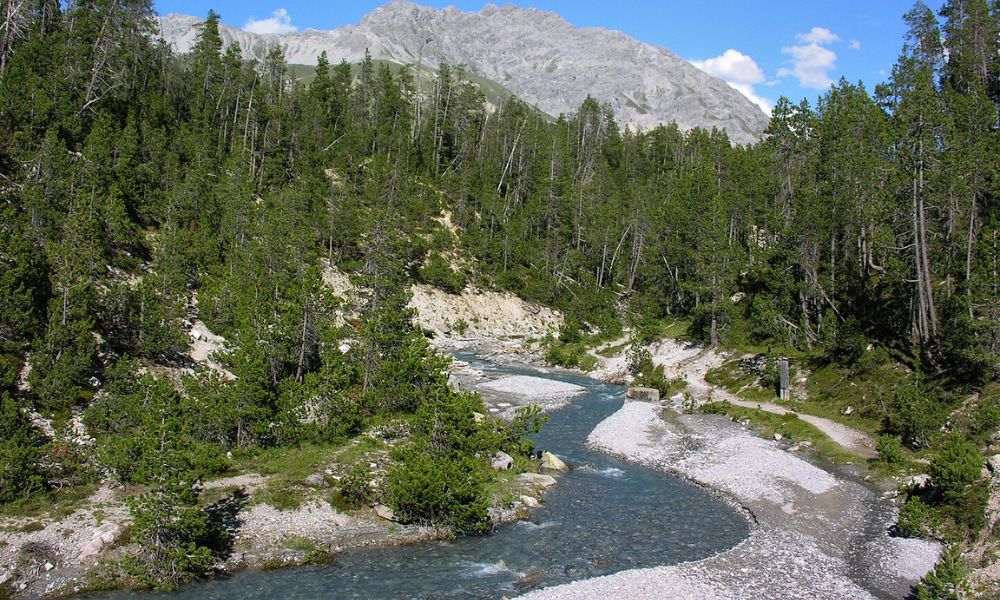 Parque nacional suizo.