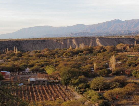 Amaicha del Valle, el pequeño pueblo del Norte Argentino que tiene 360 días soleados al año