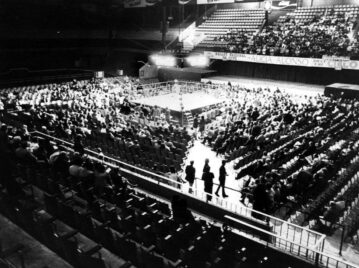 luna park boxeo