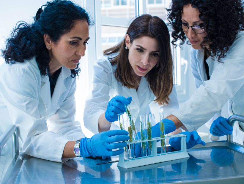 11 de febrero: Día Internacional de la Mujer y la Niña en la Ciencia