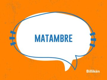 Matambre