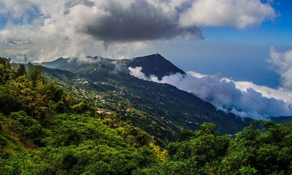 Selva sobre la Cordillera de la Costa.