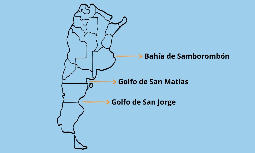 Bahía de Samborombón Argentina