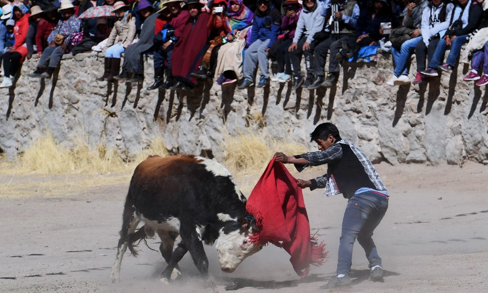 Foto de las corridas de toros de Casabindo.