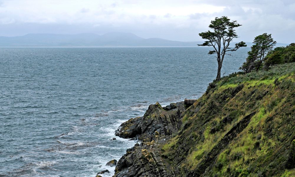 Naturaleza del sitio donde se fundó el Puerto del Hambre.