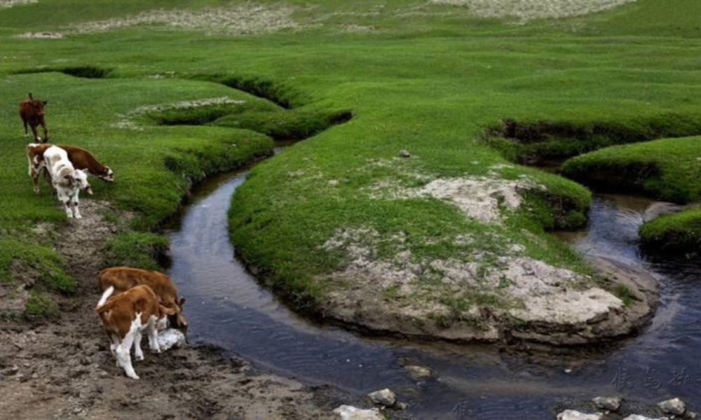 Aspecto del río más angosto del mundo.