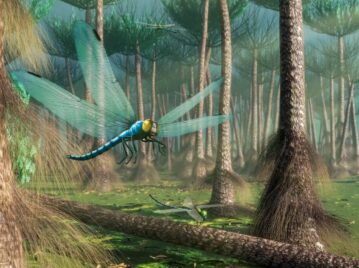 insectos gigantes en el bosque era paleozoica