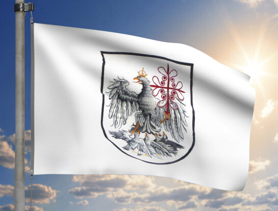 Bandera de la Ciudad de Buenos Aires: historia, origen y significado