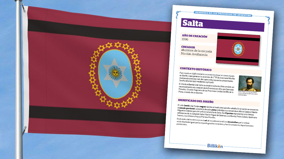 bandera de Salta infografía historia origen significado