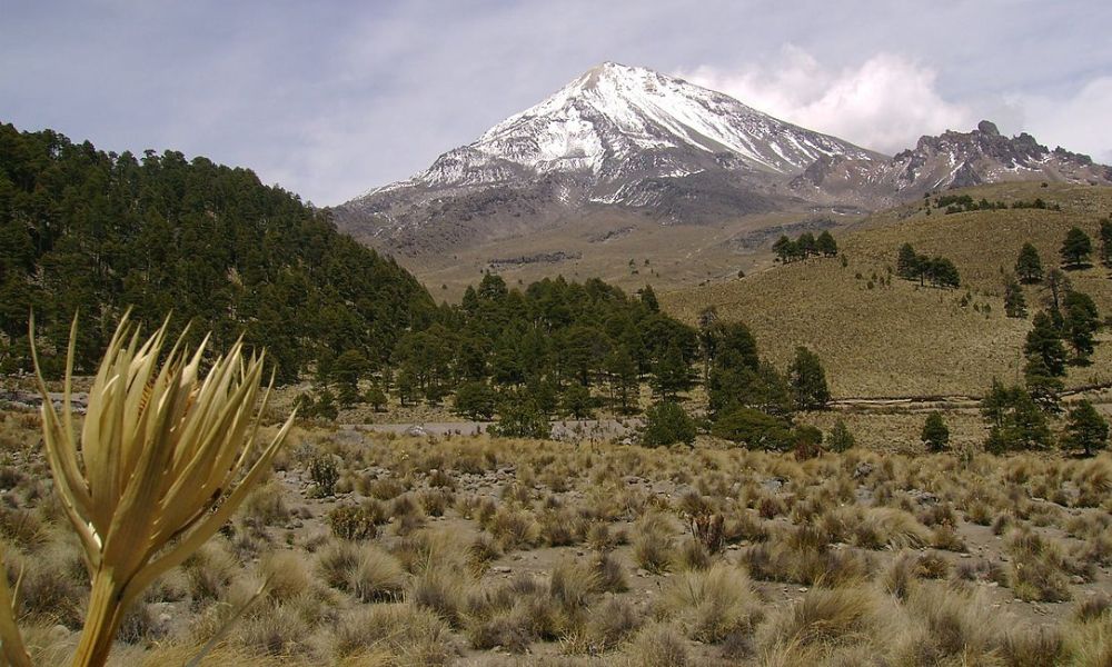 Vistas a Citlaltépetl.