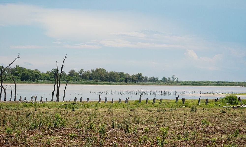 Laguna Mar Chiquita.