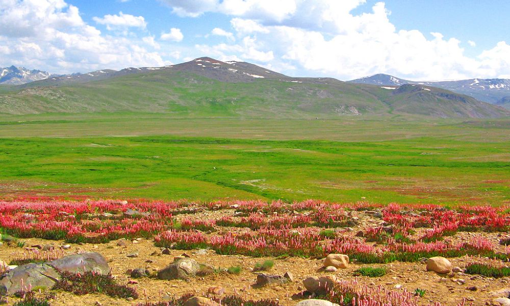 Paisaje que tiene la segunda llanura más alta del mundo.