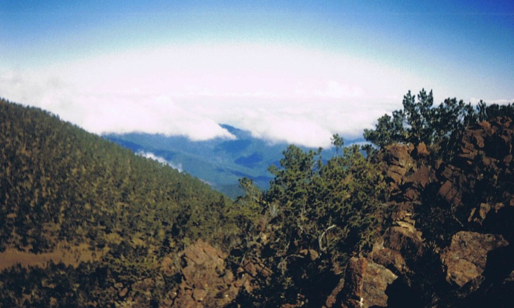 montaña más alta del Caribe
