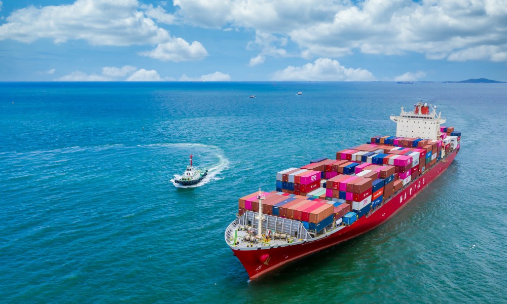 importación de bienes