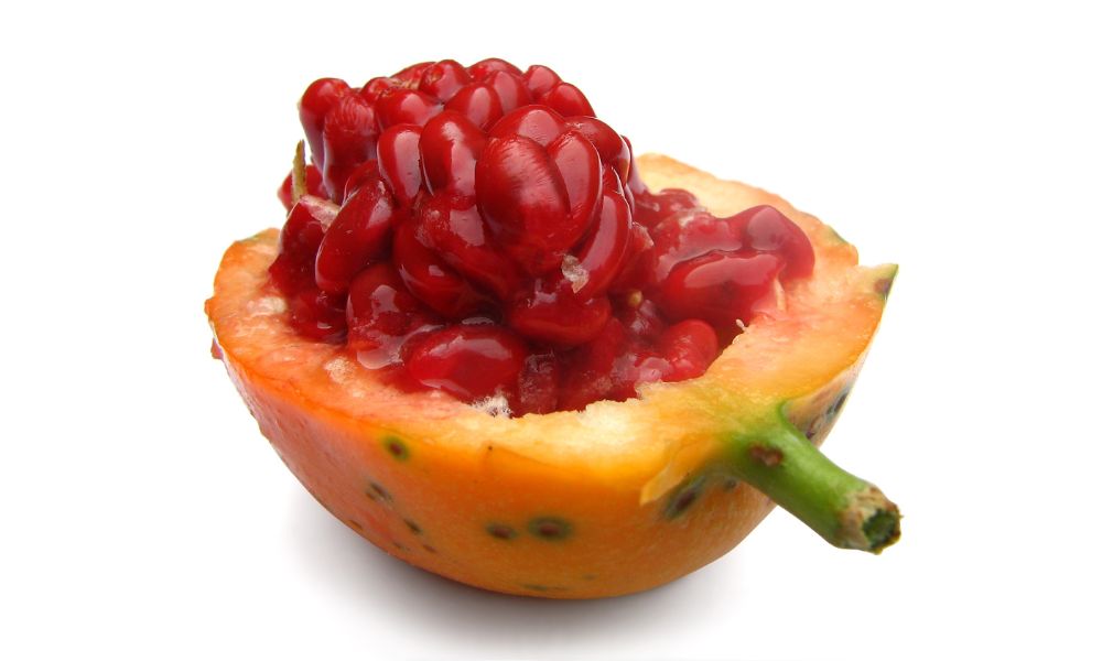 Fruto de la planta que tiene al mburucuyá.