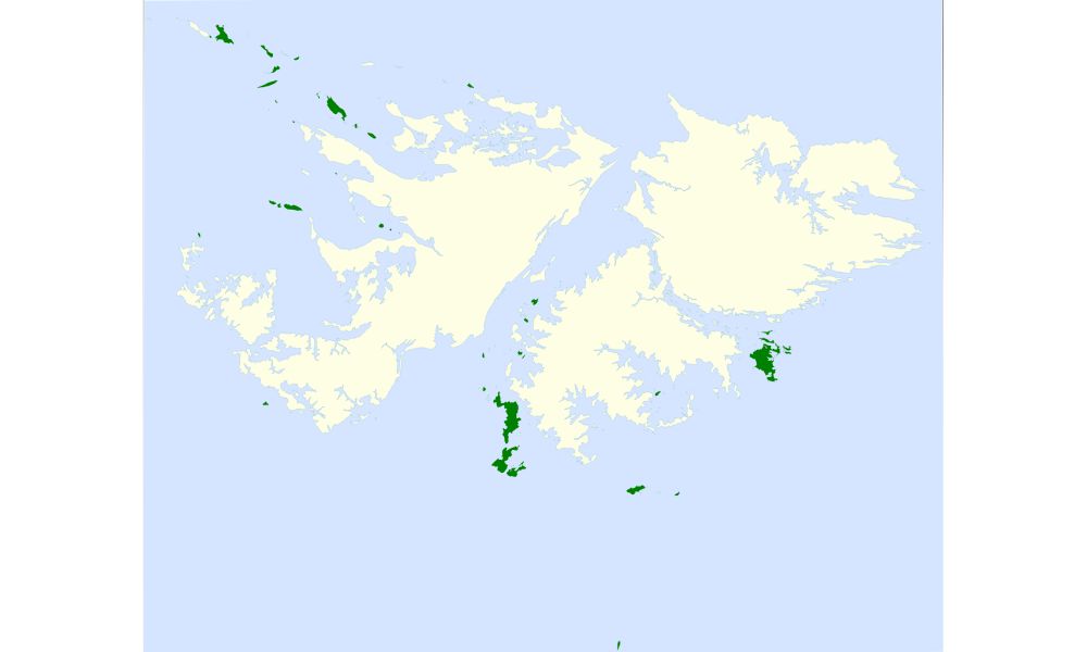 En verde, las zonas de las Islas Malvinas donde habita este pájaro, conocido como chochín malvinero.
