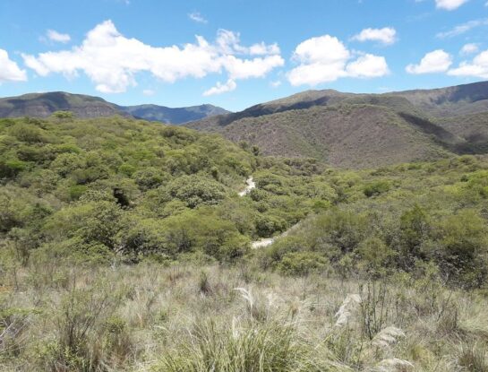 ¿Cuáles son las únicas tres provincias de Argentina que tienen todo su territorio por encima de los 300 metros sobre el nivel del mar?