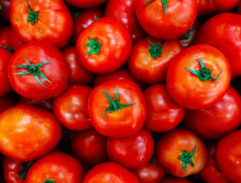 origen del tomate