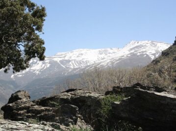 sierra-nevada