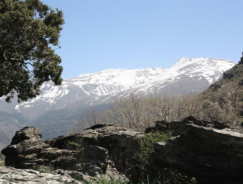 sierra-nevada
